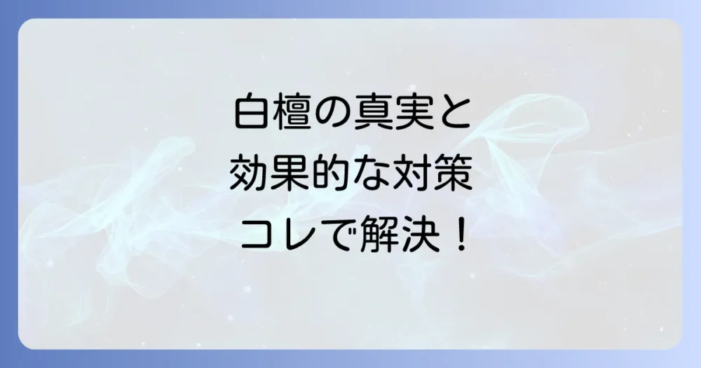 まとめ
