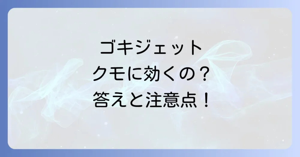 【結論】ゴキジェットはクモに効果がある!ただし注意点も