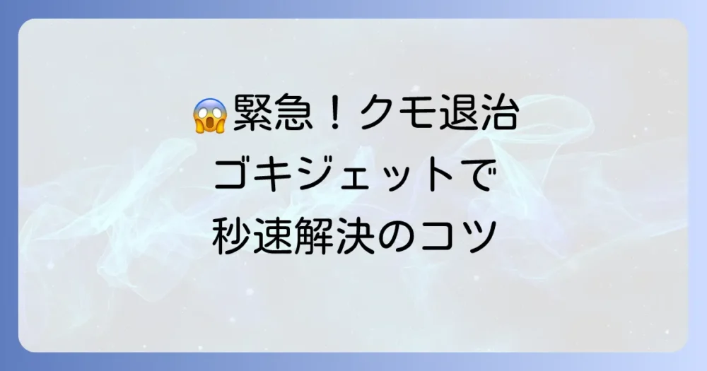 【状況別】ゴキジェットの効果的な使い方とクモ退治のコツ