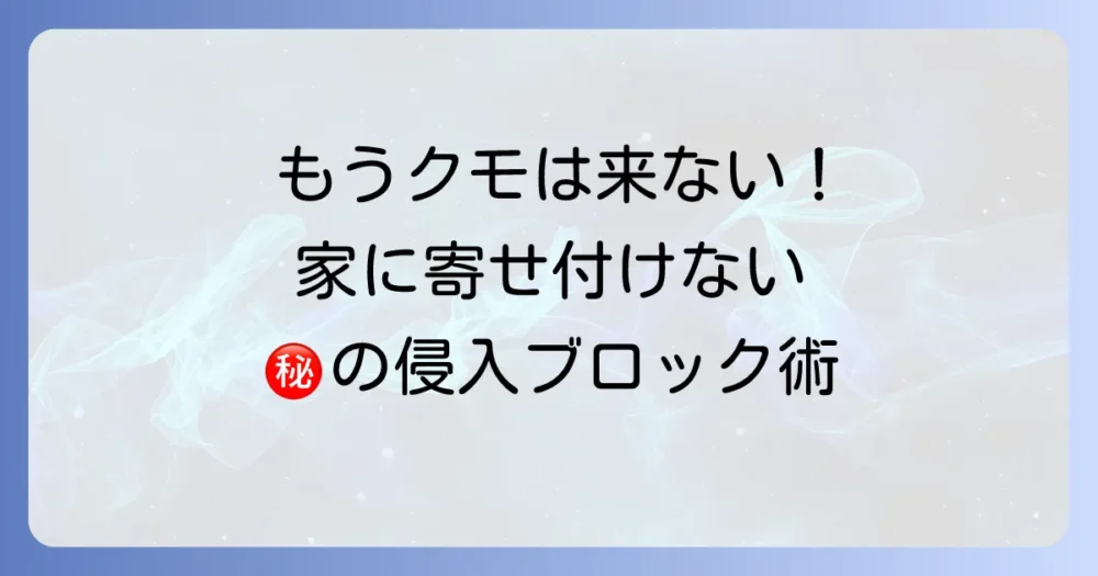 もうクモに悩まない!侵入を防ぐための予防策