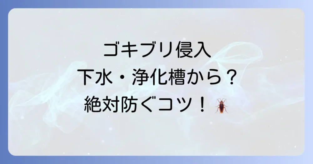 ゴキブリの侵入をシャットアウト!今すぐできる侵入経路対策