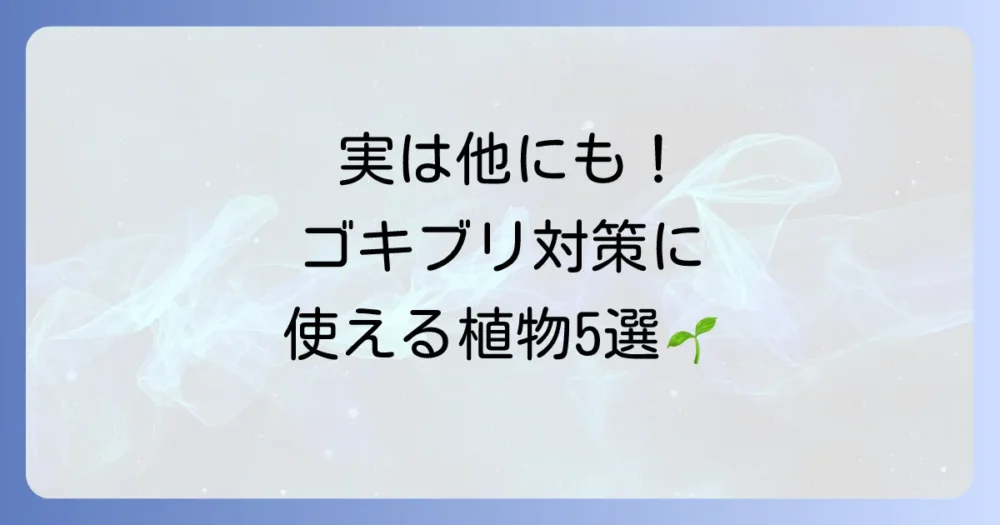 ゼラニウムだけじゃない！ゴキブリ対策におすすめの植物5選