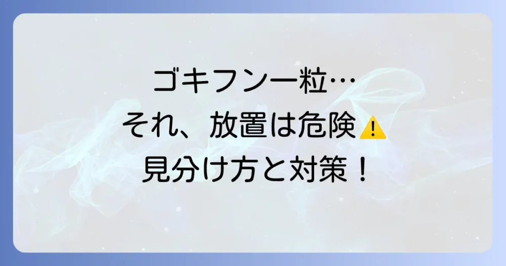 【画像で解説】ゴキブリのフンが一粒だけ…それ、放置は危険！見分け方と今すぐできる対策