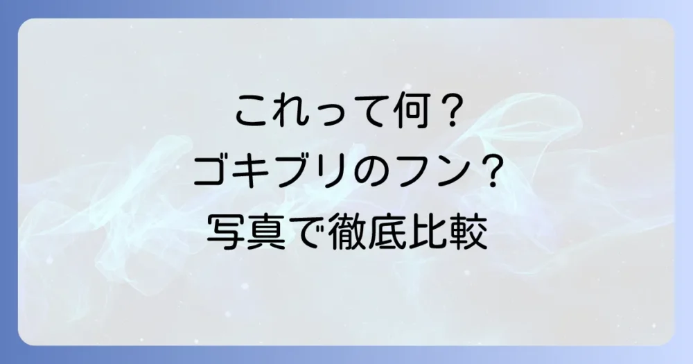 それ、本当にゴキブリのフン?一粒でも見逃さないための見分け方