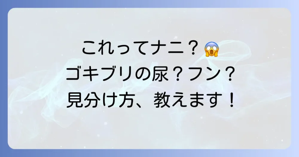 その黒いシミ、本当にゴキブリの尿？フンとの違いとは