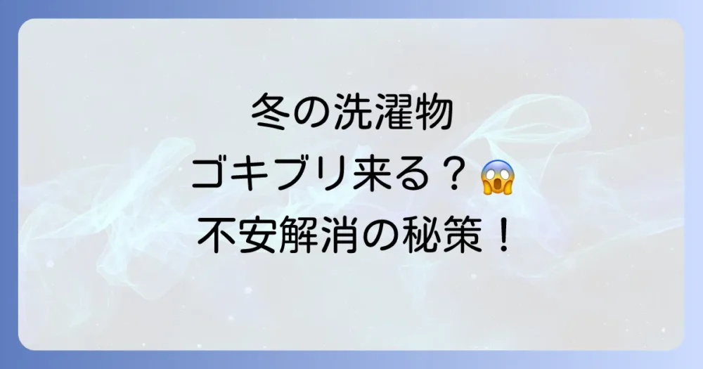冬の夜、洗濯物にゴキブリはつく？不安を解消する原因と対策を徹底解説！
