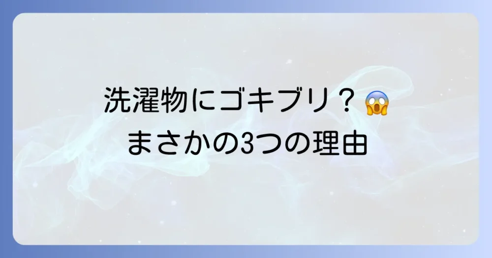 なぜ洗濯物にゴキブリが？考えられる3つの原因