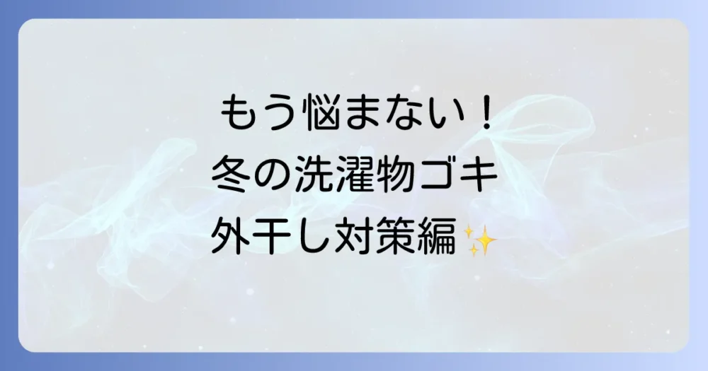 もう悩まない！冬の夜の洗濯物ゴキブリ対策【外干し編】