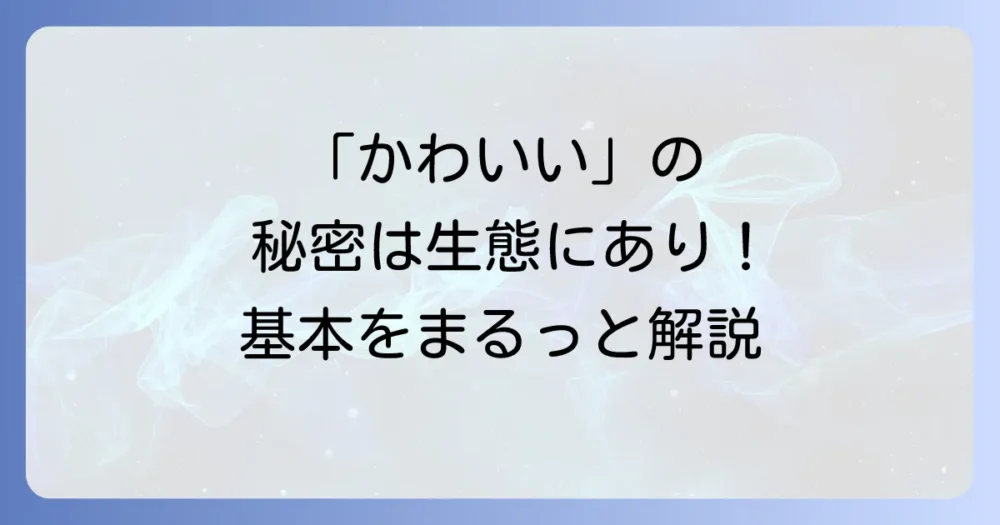 サツマゴキブリってどんな生き物？基本的な生態を知ろう