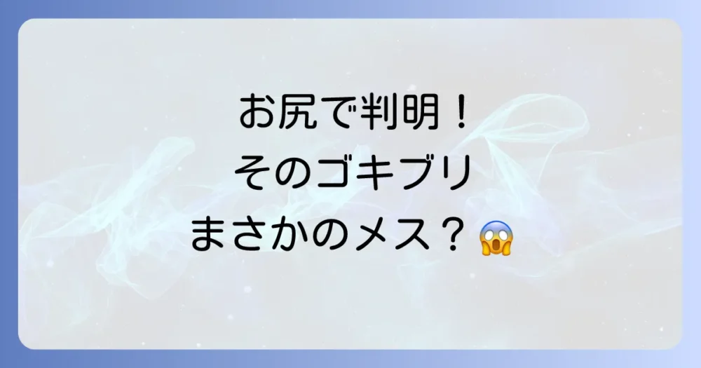 【画像解説】クロゴキブリのオスメスの見分け方！お尻の形で一発判明？飛ばないのはどっち？生態と対策も徹底解説