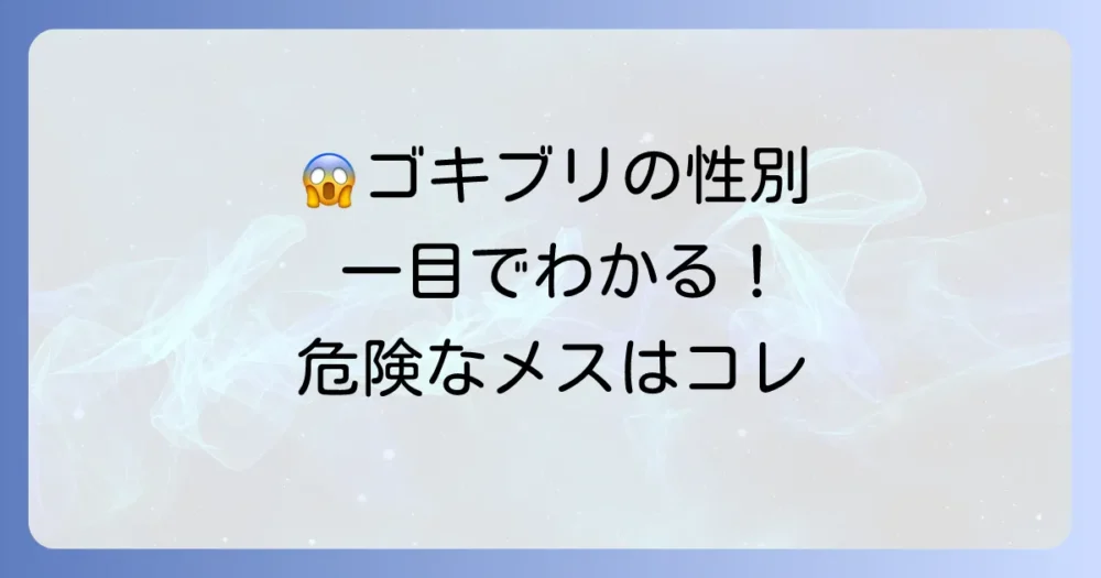 【結論】一目でわかる！クロゴキブリのオスメス見分け方一覧表
