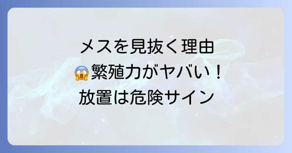 なぜクロゴキブリのオスメスを見分ける必要があるの？
