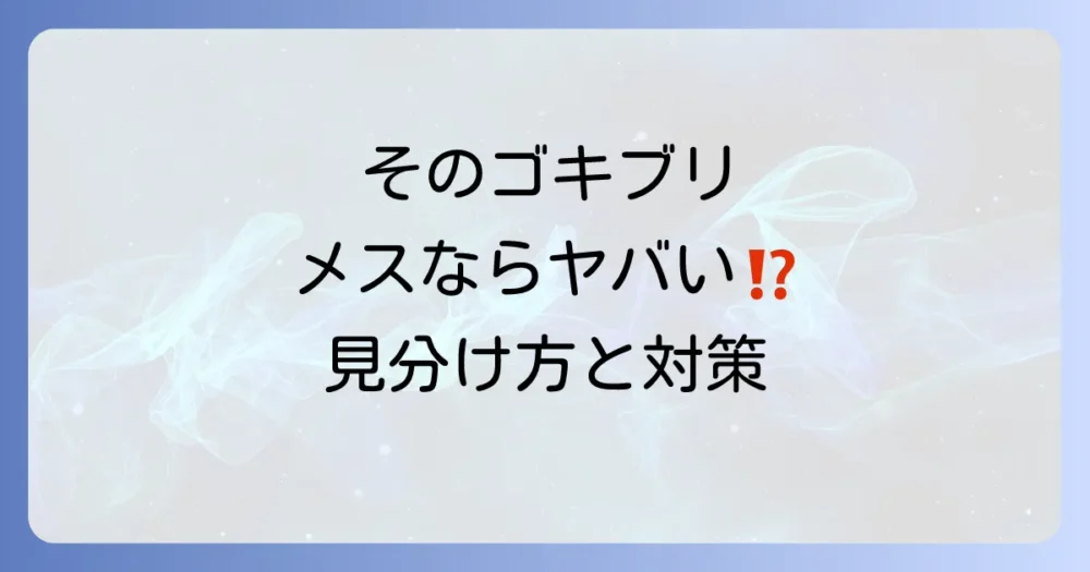 もう見たくない！クロゴキブリの効果的な対策と駆除方法
