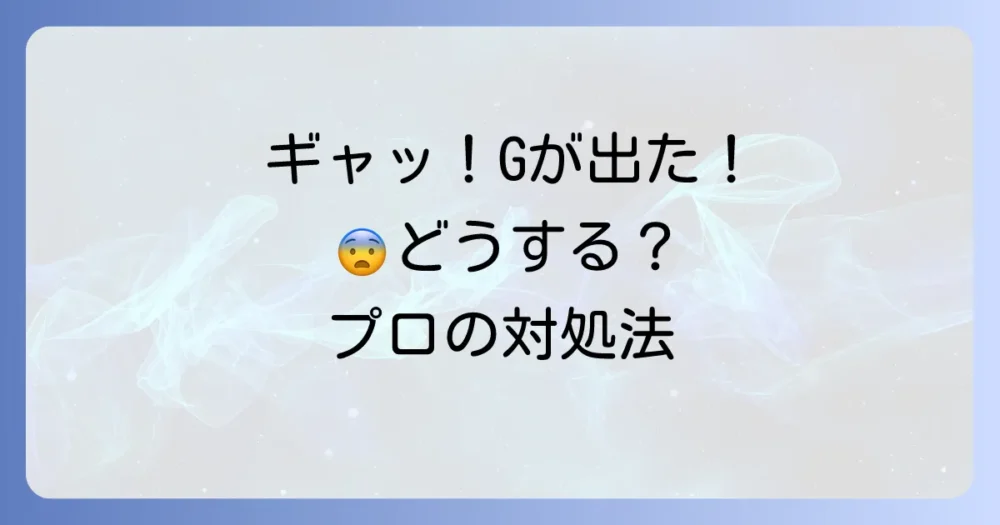 もしゴキブリに遭遇してしまったら？冷静な対処法
