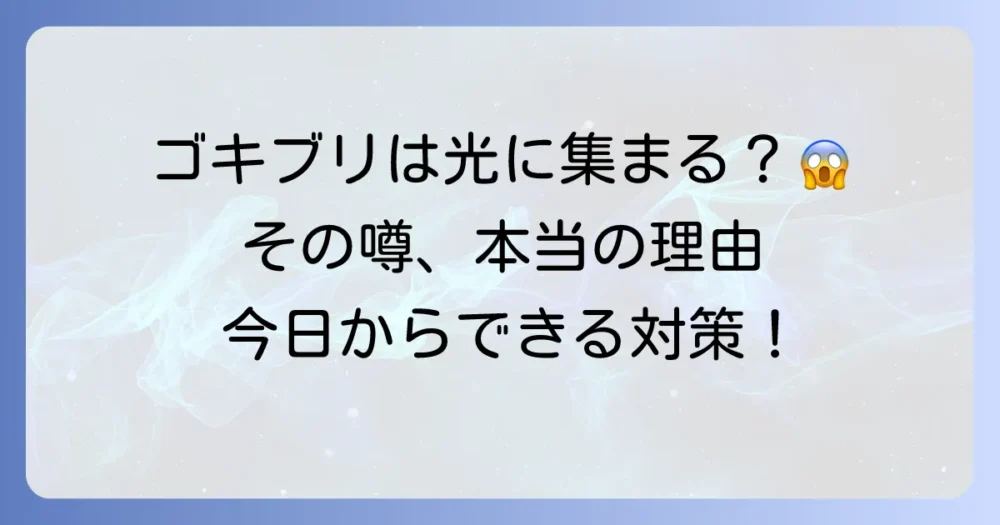 ゴキブリは光に集まる？【嘘or本当】夜行性の習性と光を使った対策を徹底解説！