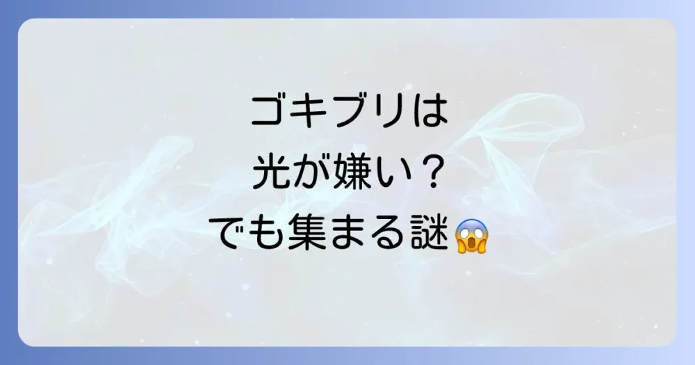 【結論】ゴキブリは基本的に光が嫌い！でも集まることがある
