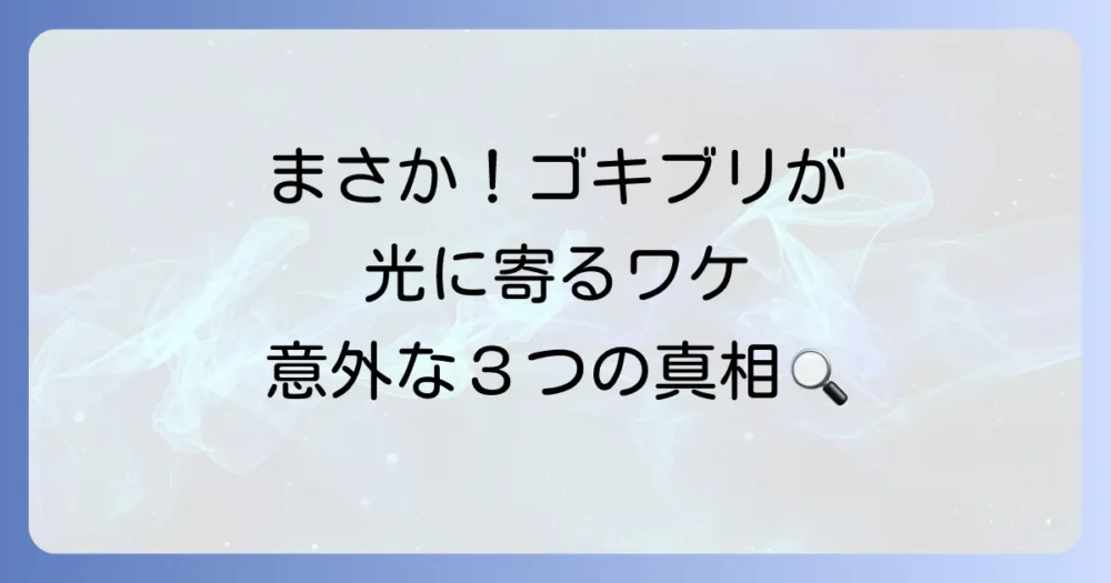 なぜ？夜行性のゴキブリが光に集まる３つの理由