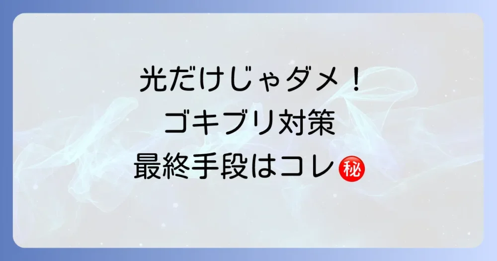 光対策だけでは不十分！総合的なゴキブリ対策の重要性