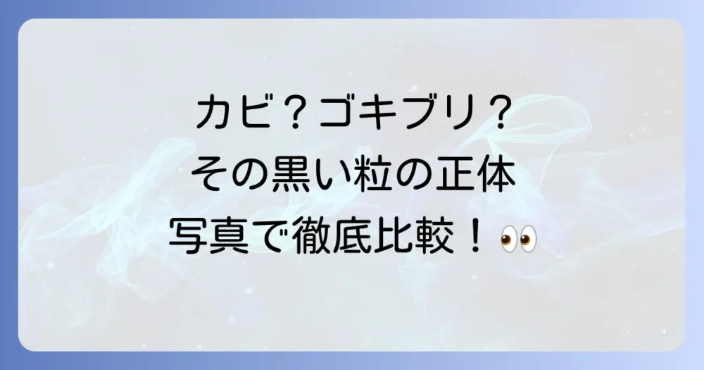 【写真で比較】黒い粒がカビかゴキブリのフンか見分ける方法