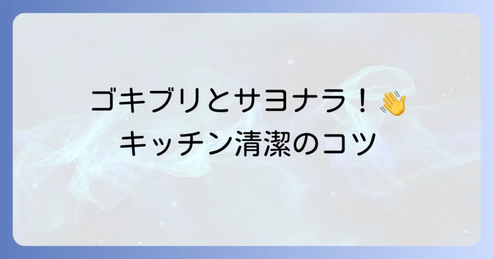 もう悩まない！キッチン全体のゴキブリ対策