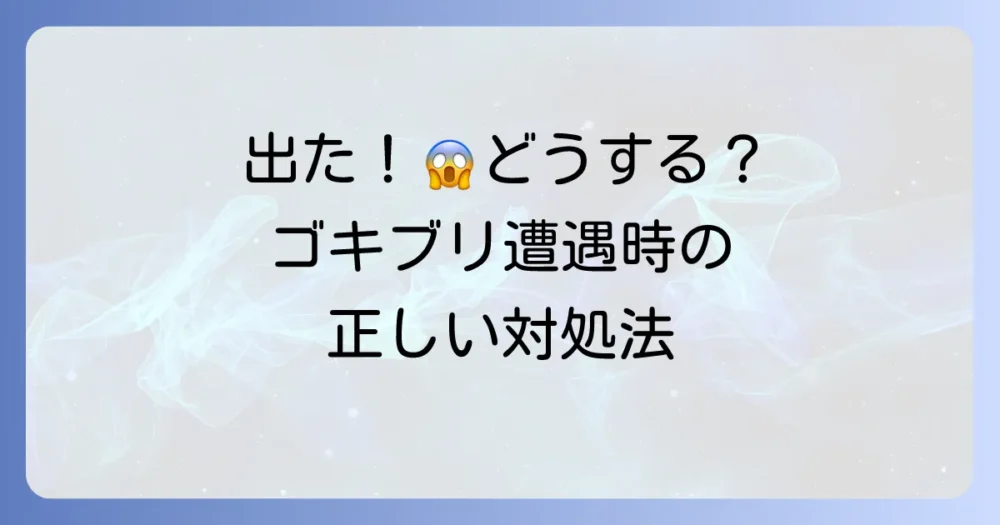 それでも出てしまったら…ゴキブリ遭遇時の正しい対処法