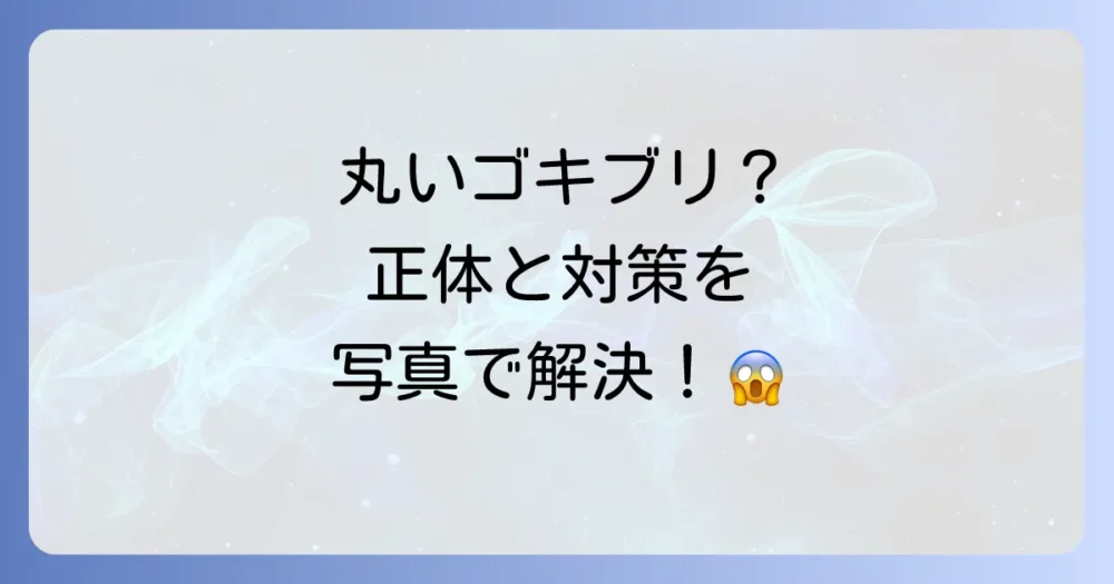 【特定】丸いゴキブリみたいな虫の正体は？写真で解説！駆除と予防法も