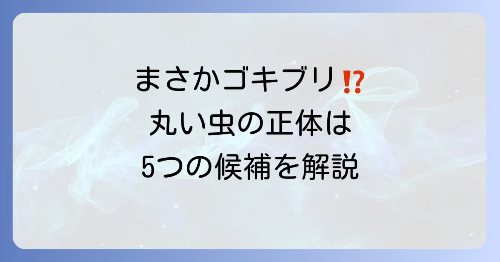 丸いゴキブリみたいな虫の正体はこれ!候補となる虫5選