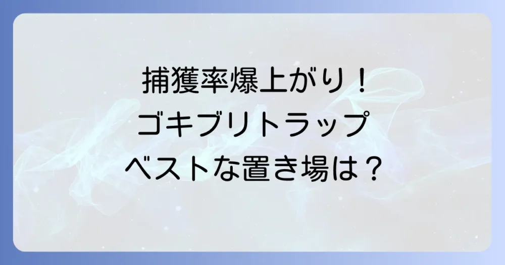 捕獲率アップ！自作ゴキブリトラップの効果的な設置場所