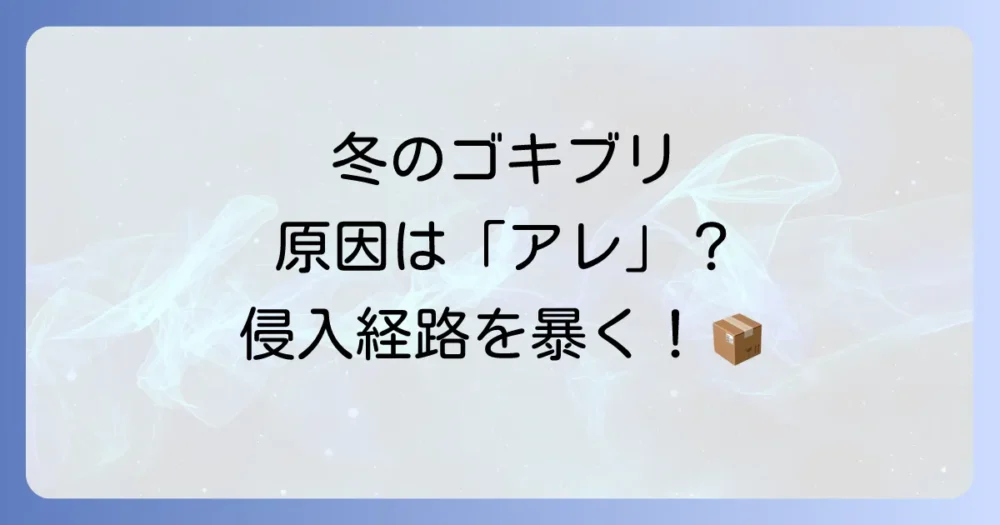 なぜ？冬にゴキブリが出現する３つの原因と主な侵入経路