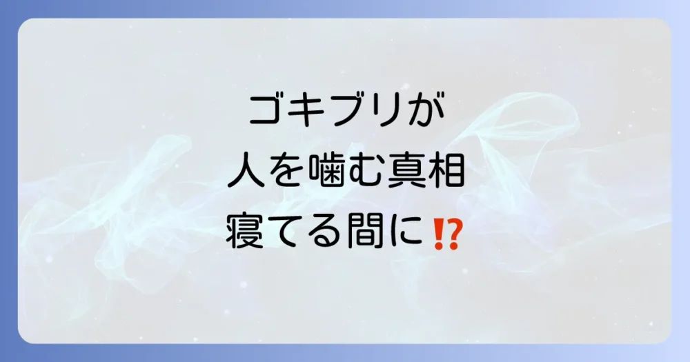 そもそもゴキブリは人を噛むの?その真相と危険性
