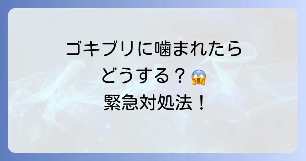 慌てないで!ゴキブリに噛まれた時の正しい対処法