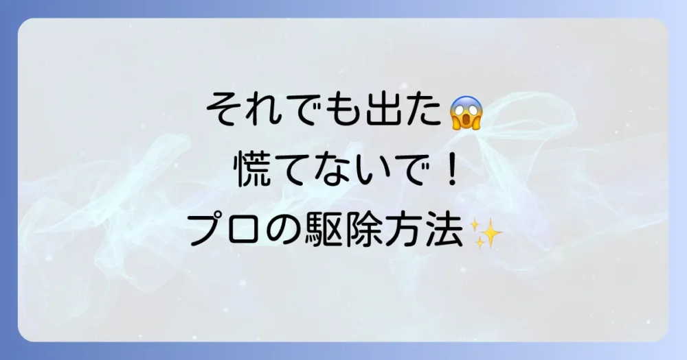 それでもゴキブリが家の中に！効果的な駆除方法