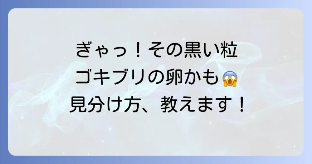 これってゴキブリの卵？特徴と見分け方を解説