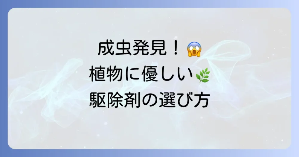 もし成虫を見つけてしまったら？観葉植物にも安全な駆除剤の選び方