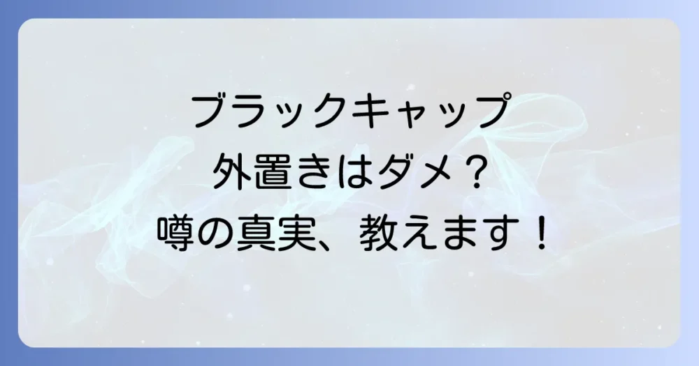 ブラックキャップを屋外に置くと逆効果って本当？噂の真相を解説