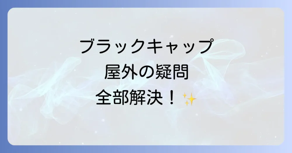 まとめ