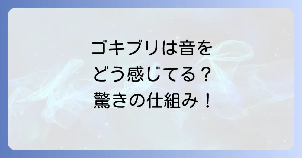 なぜ？ゴキブリが音を「聞く」仕組み