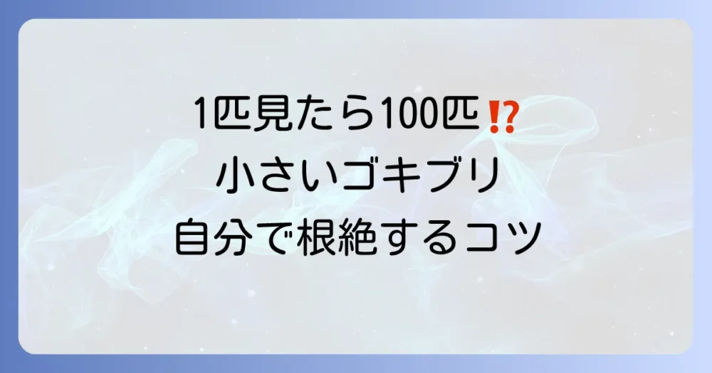もう見たくない!自分でできるゴキブリ根絶対策【徹底解説】