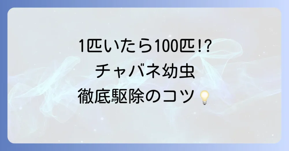 チャバネゴキブリの幼虫を1匹見つけたら危険信号！特徴・駆除方法・徹底的な対策まで解説