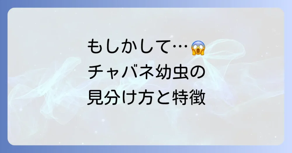 チャバネゴキブリの幼虫とは？まず知りたい5つの特徴