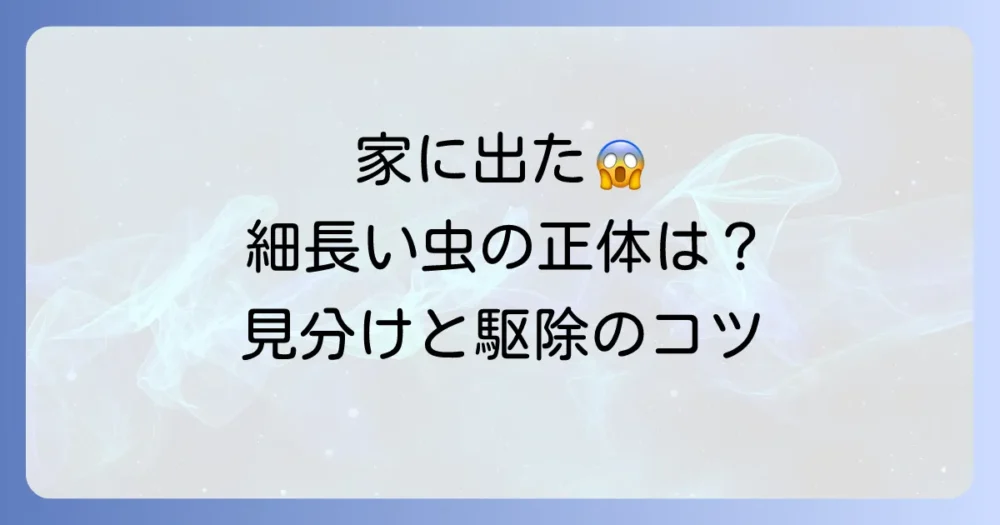 ゴキブリに似た細長い虫の正体は？【写真で比較】見分け方と駆除・予防策を徹底解説