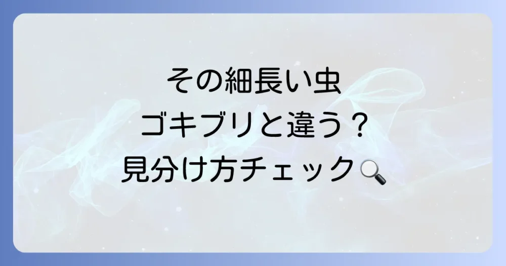 まずはチェック!その細長い虫、ゴキブリとの違いは?