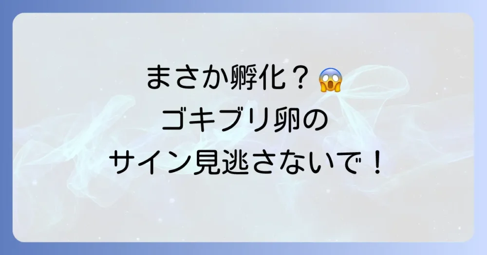 ゴキブリの卵が孵化した後のサインとは？見逃さないためのチェックポイント