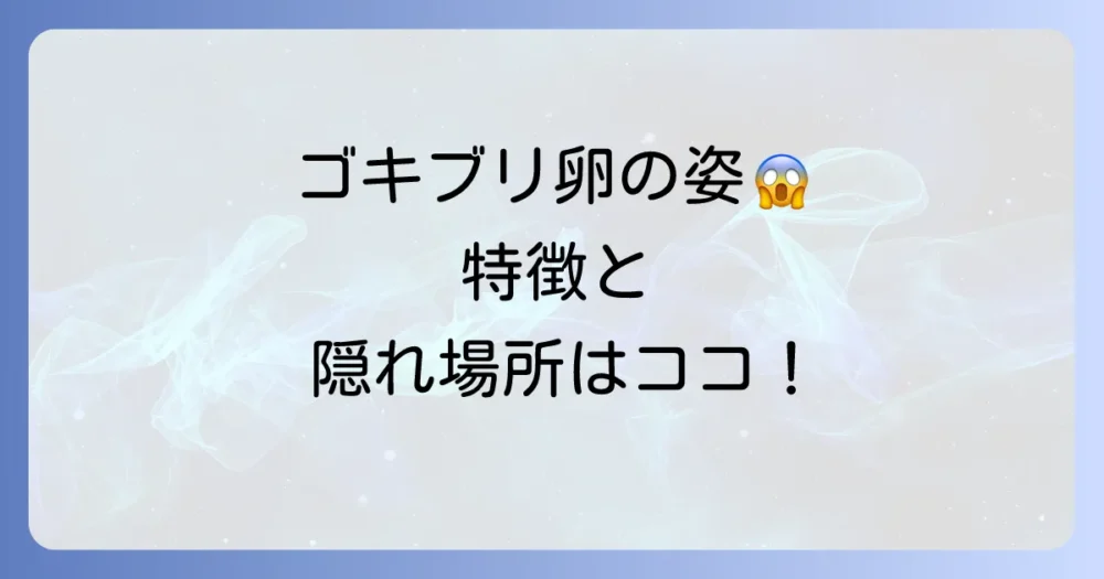 そもそもゴキブリの卵（卵鞘）とは？特徴と見つけ方