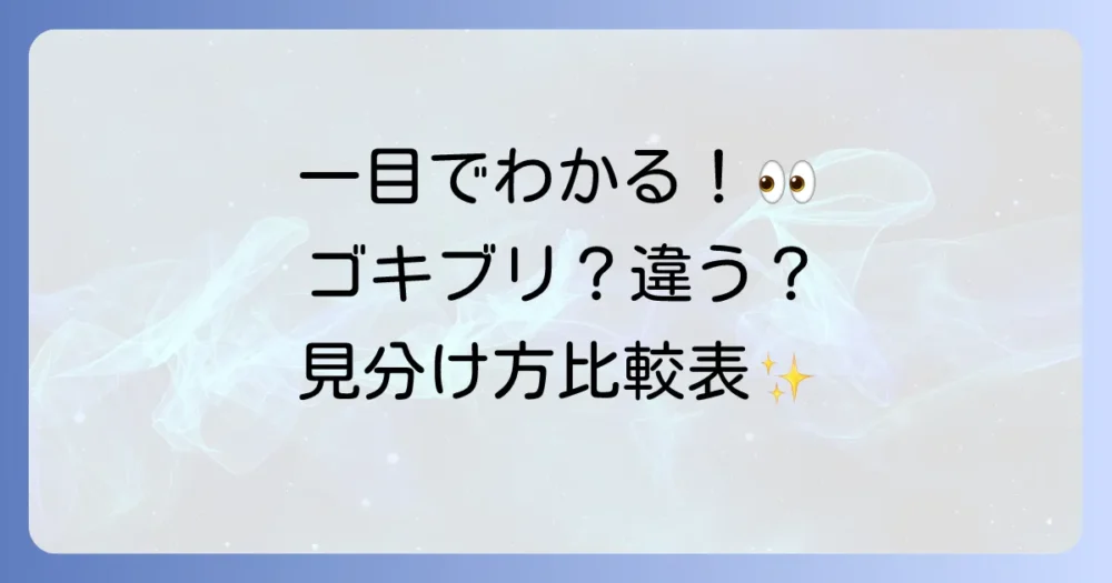 一目でわかる!ゴキブリと似た虫の見分け方【比較表】