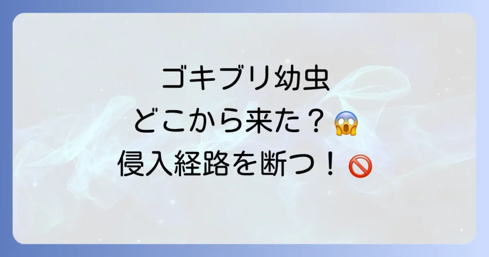 クロゴキブリの幼虫はどこから?主な侵入経路を断つ!