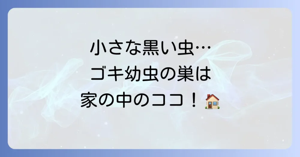 家の中に潜む!クロゴキブリの幼虫の発生源(巣)はここだ