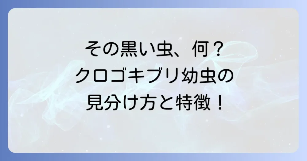 これってクロゴキブリの幼虫?特徴と見分け方
