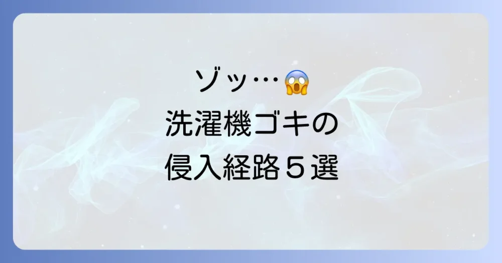 ショック!洗濯機周りのゴキブリ、主な侵入経路はこの5つ