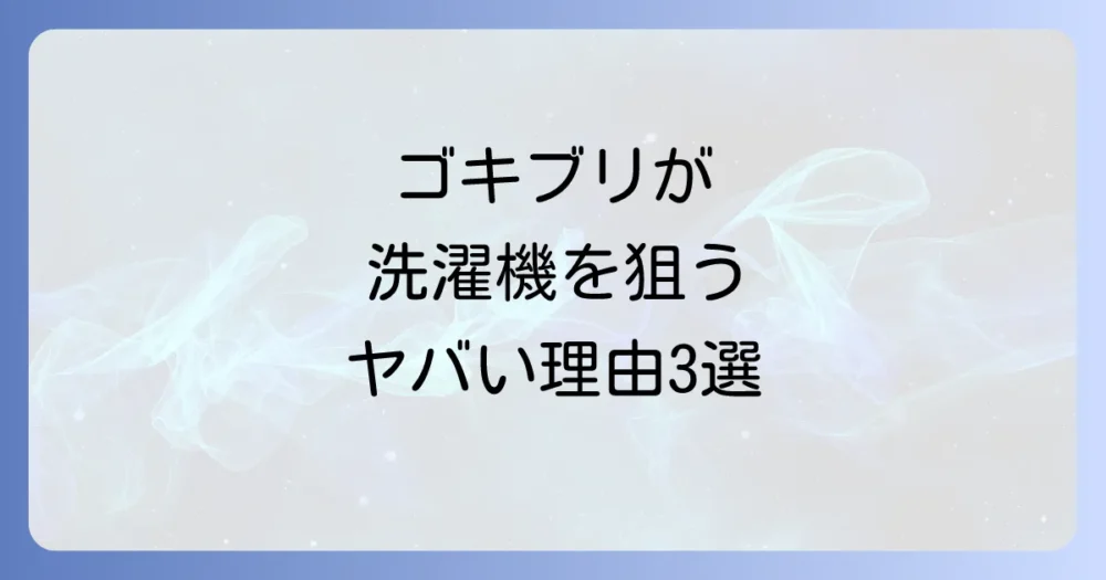 なぜ洗濯機周りにゴキブリは集まるのか?3つの原因